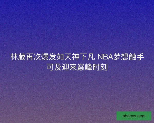 林葳再次爆发如天神下凡 NBA梦想触手可及迎来巅峰时刻