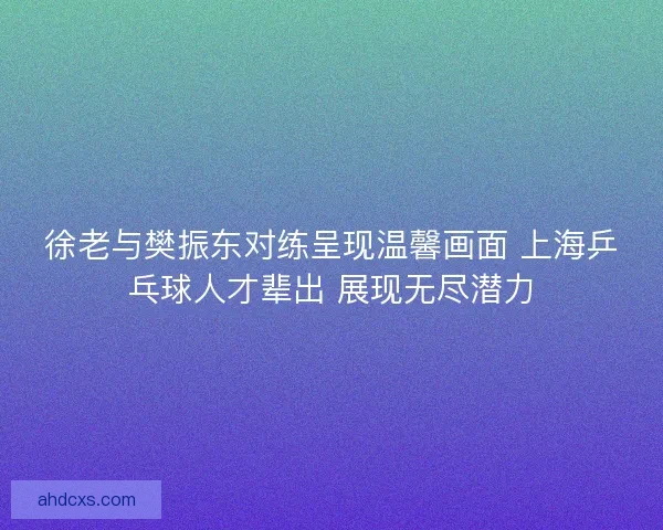 徐老与樊振东对练呈现温馨画面 上海乒乓球人才辈出 展现无尽潜力