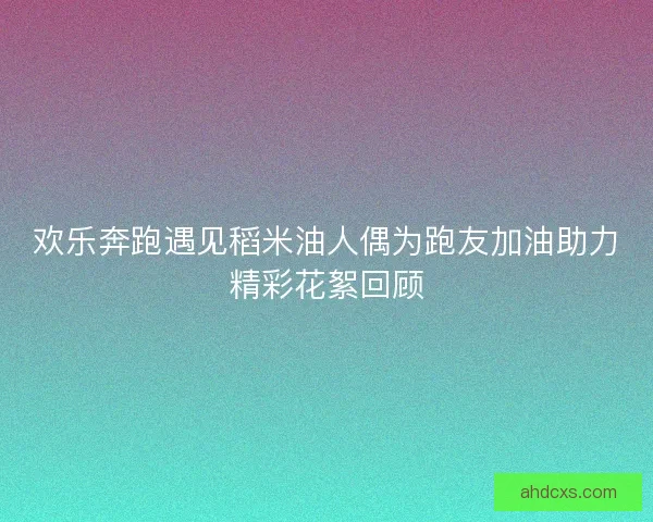 欢乐奔跑遇见稻米油人偶为跑友加油助力精彩花絮回顾