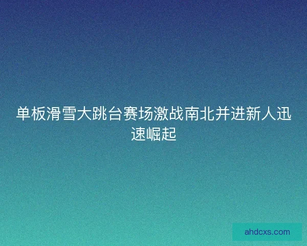 单板滑雪大跳台赛场激战南北并进新人迅速崛起 单板滑雪大跳台赛场激战南北并进新人迅速崛起